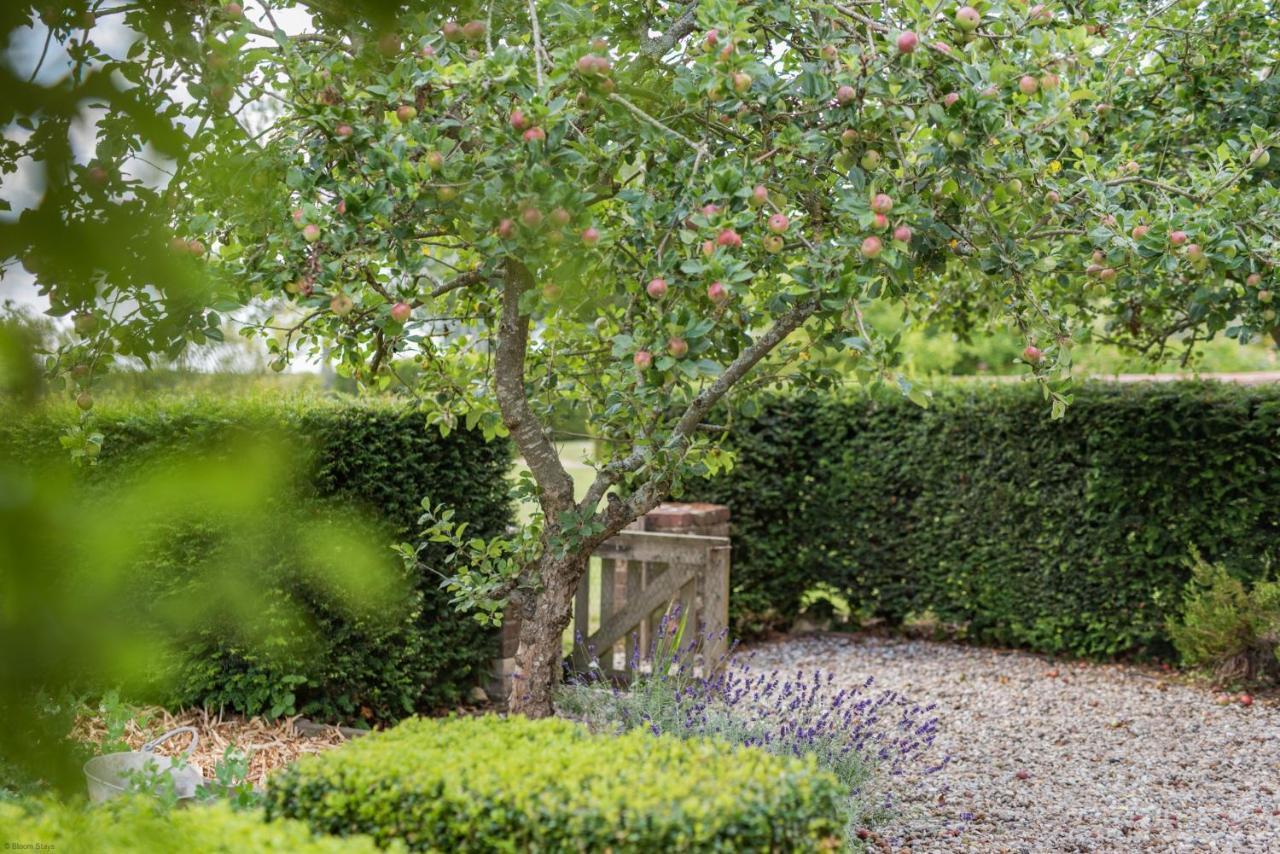 The Figgy By Bloom Stays Ashford  Eksteriør bilde